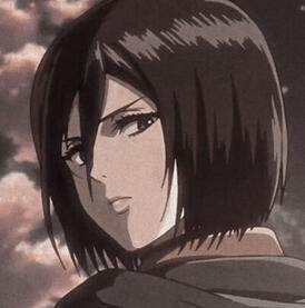 Mikasa